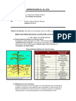 INFORME de CAMPO 24-09-2019 Riego Tecnificado en Caña de Azúcar