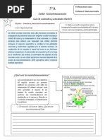 Taller de Neurotransmisores