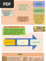 Agricultura y Escritura