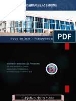 Anatomia e Histologia Del Periodonto 2018 ULS PDF