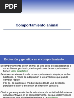 Comportamiento Animal