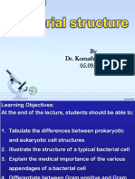 L2 Bacterial Structure