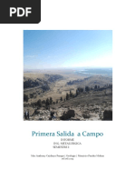 Informe de Campo