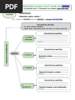 Invertebrados Esquema PDF