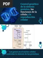 Control Genético de La Síntesis Proteica - Fisiología