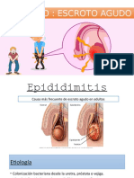 Seminario Escroto Agudo