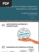 Auditoria Operativa