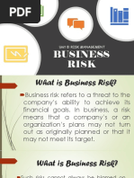 Business Risk