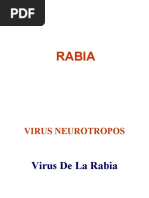 RABIA