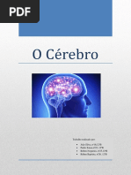 O Cérebro