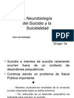 Neurobiologia Del Suicidio