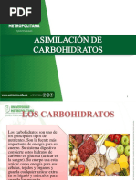 Asimilación de Carbohidratos