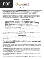 Digestive System Lesson Plan