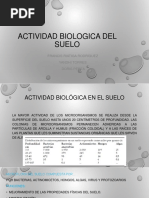 Actividad Biologica Del Suelo