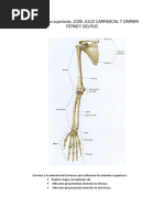 Taller Miembros Superiores