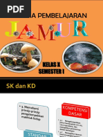 Media Pembelajaran-Klasifikasi Jamur