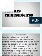 Perfiles Criminologicos