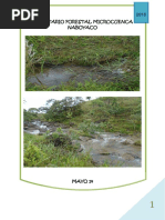 Informe de Inventario Forestal