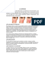 Trabajo de Cosmetologia y Estetica