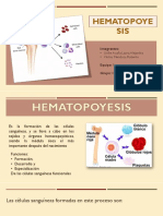 Hematopoyesis