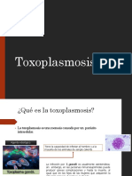 Toxoplasmosis 1