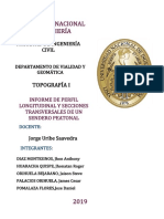 Informe Perfil Longitudinal