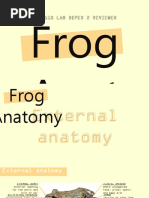 Bio Depex 2 Frog Anatomy