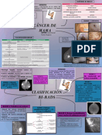 Mapa Bi-Rads y Cancer de Mama