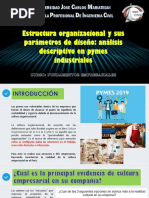 LECT 11 Estructura Organizacional y Sus Parámetros de Diseño Análisis Descriptivo en Pymes Industriales