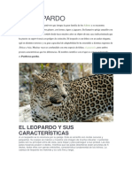 EL LEOPARDO - Características