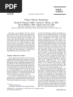 Ulnar Nerve Anatomy