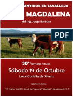 Catálogo Santa Magdalena