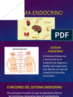 Sistema Endocrino y Respiratoritorio