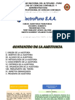 Auditoria Electro Puno