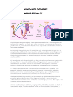 Bioquimica Del Orgasmo