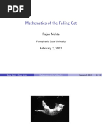 Mathematics of The Falling Cat: Rajan Mehta