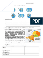 Mitosis y Meiosis Crucigrama