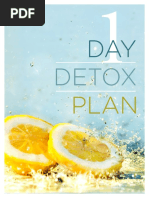 1 Day Detox PDF