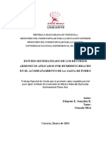 Tesis PDF