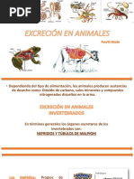 Excrecinenanimales4 140510123538 Phpapp02