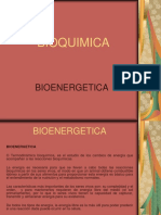 Bioenergetica