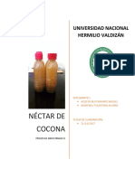 Nectar de Cocona