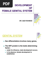 Final DEV OF Female GENITAL SYSTEM