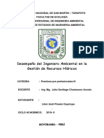 Desempeño Del Ing Ambiental en Recursos Hidricos