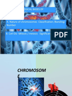 Cytological Bases of Heredity