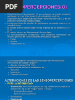 Sensopercepciones (O)