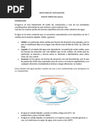 Liofilización de Alimentos