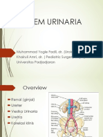 Sistem Urinaria