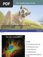 Chapter 2 - Chemical Basis of Life