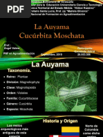 Exposicion Auyama